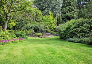 Optimiser l'expérience du jardin à Bouret-sur-Canche